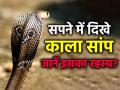सपने में दिखे काला सांप तो सावधान, जानें क्या है इसके पीछे का रहस्य? - Hindi News | What is the meaning of snake chasing in dream? | Latest spirituality Photos at Lokmatnews.in