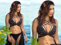 सोफी चौधरी ने बिकीनी पिक इंस्टा पर शेयर कर बढ़ाया तापमान - Hindi News | Sophie Choudry Bikini Photos Raise Temperature on Instagram | Latest bollywood Photos at Lokmatnews.in