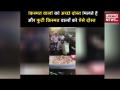 Wild Birthday Celebration : ऐसा ख़तरनाक Birthday Celebration देखा है कभी ? - Hindi News | Viral Video of Wild Birthday Celebration | Latest weird Videos at Lokmatnews.in