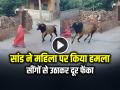 VIRAL: सांड ने महिला पर किया हमला, सींगों से उठाकर दूर फेंका, देखें भयावह वीडियो - Hindi News | Stray Bull attack woman in Jodhpur Watch video | Latest weird News at Lokmatnews.in