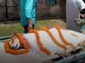 ओडिशा में एक आवारा कुत्ते ने ज़हरीले साँप से 30 बच्चों की जान बचाकर हीरो की तरह अपनी जान दी - Hindi News | Stray Dog In Odisha Dies A Hero After Saving 30 Children From Venomous Snake | Latest weird News at Lokmatnews.in