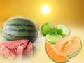 Summer Health Tips: तपती गर्मी से राहत दिलाएंगे ये 5 मीठे फल, इम्यूनिटी भी होगी मजबूत - Hindi News | Summer health tips Immunity Boosting Summer Foods Sweet lemon mango watermelon Muskmelon | Latest health Photos at Lokmatnews.in