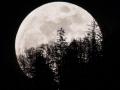 Super Snow Moon : आज रात सबसे ज्यादा चमकीला, खूबसूरत दिखेगा चंद्रमा, नहीं देखा तो 7 साल करना होगा इंतजार - Hindi News | | Latest spirituality News at Lokmatnews.in