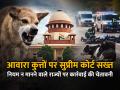 आवारा कुत्तों पर सुप्रीम कोर्ट सख्त, नियम न मानने वाले राज्यों पर कार्रवाई की चेतावनी - Hindi News | Supreme-Court-Strict-on-Stray-Dogs-Warns-Action-Against-Non-Compliant-States | Latest india News at Lokmatnews.in