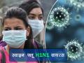 स्वाइन फ्लू: पहचानें H1N1 के लक्षण, कपूर और लहसुन से इस तरह कर सकते हैं अपना बचाव - Hindi News | know swine flu H1N1 symptoms and precautions | Latest health News at Lokmatnews.in