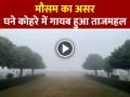 VIDEO: घने कोहरे में गायब हुआ ताजमहल, देखें वायरल वीडियो - Hindi News | Taj Mahal disappeared in dense fog Watch Video | Latest weird News at Lokmatnews.in