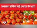 Tomato Price Hike: जानें टमाटर के दाम बढ़ने की असली वजह - Hindi News | Tomato Price Hike: Know the real reason behind the rise in tomato prices | Latest india Videos at Lokmatnews.in