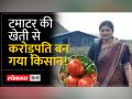 Maharashtra: पुणे में टमाटर की खेती से आए किसानों के अच्छे दिन - Hindi News | Maharashtra: Good days for farmers from tomato cultivation in Pune | Latest india Videos at Lokmatnews.in