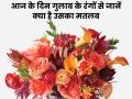 Rose Day Special: रोज डे पर प्रपोज करना पड़ सकता है भारी, जानें किस रंग के गुलाब का क्या होता है मतलब - Hindi News | rose day special things to know types of rose color to use which rose for love color images in hindi | Latest relationships Photos at Lokmatnews.in