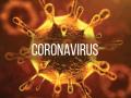 Coronavirus: कोरोना वायरस के संक्रमण से बचने के लिए 24 घंटे अपने पास रखें ये 7 चीजें, देखें लिस्ट - Hindi News | | Latest health Photos at Lokmatnews.in