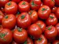 Tomato Price Hike: टमाटर के दाम ने जेब पर डाला असर, महज 15 दिनों में 50% तक कीमतें बढ़ी; जानें क्या है वजह - Hindi News | Tomato prices rising by 50% in just 15 days find out the reason | Latest india News at Lokmatnews.in