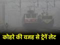 Indian Railways: घने कोहरे की वजह से 24 से ज्यादा ट्रेनें लेट, यात्रियों को करना पड़ रहा लंबा इंतजार; देखें लिस्ट - Hindi News | Indian Railways Due to dense fog more than 24 trains are delayed passengers have to wait for long time see list | Latest india News at Lokmatnews.in