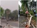 जोरदार आंधी-तूफान से यूपी में उखड़े पेड़ और बिजली के खंभे, टिन की छतें उड़ीं, जनजीवन प्रभावित - Hindi News | | Latest india News at Lokmatnews.in