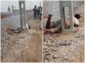 यूपी: रेलवे ट्रैक के खंभे पर चढ़कर युवक बनाना चाहता था वीडियो, हाईटेंशन तार की चपेट आकर लगी करंट और फिर..... - Hindi News | up youth want to shoot video on railway track pole electrocuted in Prayagraj viral video | Latest weird News at Lokmatnews.in
