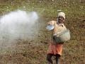 ब्लॉग: जल-जमीन-जन के लिए खतरा बन रहे कीटनाशक - Hindi News | Blog: Pesticides becoming a threat to water-soil-people | Latest india News at Lokmatnews.in