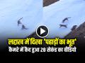 VIDEO: लद्दाख में दिखा 'पहाड़ों का भूत', कैमरे में कैद हुआ 28 सेकंड का वीडियो... - Hindi News | Video of Snow Leopards Playing in Zanskar Valley of Ladakh watch video | Latest weird News at Lokmatnews.in