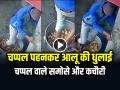 VIDEO: चप्पल पहनकर समोसे के आलू की धुलाई का वीडियो वायरल - Hindi News | Video of Washing Potatoes for Samosa While Wearing Slippers Goes viral on Social Media | Latest weird News at Lokmatnews.in