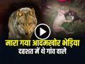 VIDEO: मारा गया आदमखोर भेड़िया, दहशत में थे गांव वाले, देखें वीडियो - Hindi News | Villagers Killed Wolf in bahraich uttar pradesh Video goes viral on social media | Latest weird News at Lokmatnews.in
