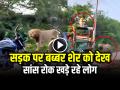 Viral Video: बब्बर शेर को सामने देख... सांस रोक खड़े रहे लोग, देखें वायरल वीडियो - Hindi News | Viral Video Bikers Shocked by lion comes front on road | Latest weird News at Lokmatnews.in