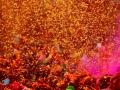 Vrindavan Holi 2025: ‘हमसे पर्दा करो न मुरारी...’ वृंदावन की होली? - Hindi News | | Latest india News at Lokmatnews.in
