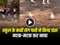 VIDEO: स्कूल के बच्चों संग पक्षी ने किया डांस, मटक-मटक कर नाचा, देखें वायरल वीडियो - Hindi News | Watch Bird Dancing with School Children on Road Video Goes Viral | Latest weird News at Lokmatnews.in