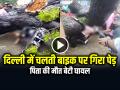 VIDEO: दिल्ली में चलती बाइक पर गिरा पेड़, पिता की मौत बेटी घायल - Hindi News | Watch Delhi Tree Falls on Bike in Kalkaji, Man killed and his daughter injured see video | Latest crime News at Lokmatnews.in