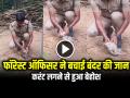 Viral Video: फॉरेस्ट ऑफिसर ने बचाई बंदर की जान, करंट लगने से हुआ बेहोश, देखें वायरल वीडियो - Hindi News | Watch Forest Officer Saved Baby Monkey Life giving cpr in Thiruvananthapuram video viral | Latest weird News at Lokmatnews.in