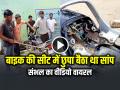 VIDEO: बाइक की सीट में छुपा बैठा था सांप, संभल का वीडियो वायरल - Hindi News | Watch Snake Rescued Under Motorcycle Seat in Sambhal video viral | Latest weird News at Lokmatnews.in
