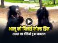 VIRAL: भालू को पिलाई कोल्ड ड्रिंक, शख्स का वीडियो हुआ वायरल - Hindi News | Watch Video Man who gave Cold Drink to a Bear Went viral | Latest weird News at Lokmatnews.in