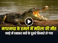 SHOCKING: खूंखार मगरमच्छ के हमले में महिला की मौत, जबड़े में दबाकर नदी के दूसरे किनारे ले गया - Hindi News | Watch Woman killed after Crocodile Attack in Madhya Pradesh Video Viral | Latest weird News at Lokmatnews.in