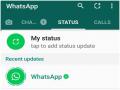WhatsApp Privacy Policy: मोबाइल पर WhatsApp का Status देख यूजर्स बोले- तुम्हारा App है तो कुछ भी करोगे?   - Hindi News | | Latest weird News at Lokmatnews.in