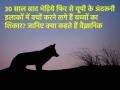 30 साल बाद भेड़िये फिर से यूपी के अंदरूनी इलाकों में क्यों करने लगे हैं बच्चों का शिकार? जानिए क्या कहते हैं वैज्ञानिक - Hindi News | Why Are Wolves Back to Hunting Children in UP's Hinterland after 30 Years? Here Is What Scientists Say | Latest india News at Lokmatnews.in