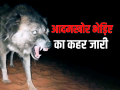 'उस रात मां के साथ.., घरों में दरवाजे नहीं', आदखोर भेड़िए के हमले में घायल बच्ची, परिजन ने सुनाई.. - Hindi News | That night with mother no door five year old girl injured wolf attack Bahraich UP | Latest india News at Lokmatnews.in
