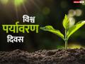 विश्व पर्यावरण दिवस: प्रकृति की गोद में सुनें मौन की भाषा - Hindi News | World Environment Day: Listen to the language of silence in the lap of nature | Latest india News at Lokmatnews.in