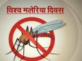 World Malaria Day: ऑलआउट, मोर्टिन को तुरंत फेंके घर से बाहर, किचन की ये 4 चीजें करेंगी मच्छरों का खात्मा - Hindi News | World Malaria Day: best home remedies to keep mosquitoes away at night, from yard, from door, outside | Latest health News at Lokmatnews.in
