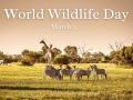 विश्व वन्यजीव दिवस 2025ः वनों का विनाश और विलुप्त होती प्रजातियां - Hindi News | World Wildlife Day 2025 march 3 Deforestation and endangered species blog Devendraraj Suthar | Latest india News at Lokmatnews.in