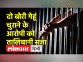 2 बोरी गेहूं चोरी करने के आरोप में युवक को ट्रक के बोनट से लटका कर थाने लाया गया - Hindi News | The young man was brought to the police station by hanging from the bonnet of the truck on the charge of stealing 2 sacks of wheat. | Latest india Videos at Lokmatnews.in