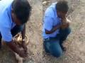 गजब! मुंह से सांस देकर बचाई बंदर की जान, वायरल Video लोग बोले वाह-वाह - Hindi News | viral video shows how a tamil nadu man save a monkey live from school life education internet reacts | Latest weird News at Lokmatnews.in