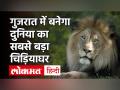 Reliance बना रही है गुजरात में दुनिया का 'सबसे बड़ा चिड़ियाघर', जानें कब तक होगा तैयार और खासियत - Hindi News | | Latest india Videos at Lokmatnews.in