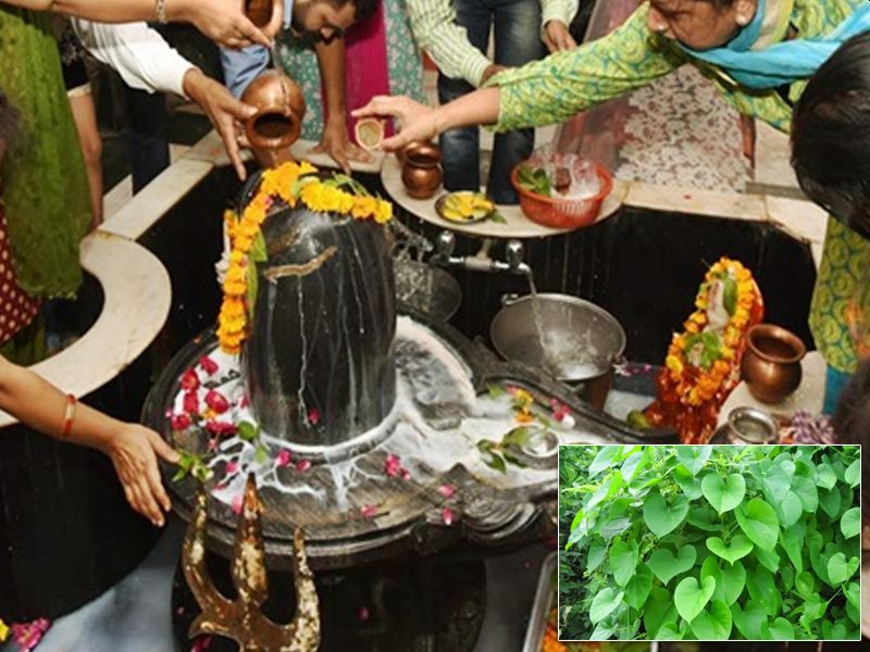 Sawan somvar vrat 2021: सावन का पहला सोमवार आज, जानिये महत्व, पूजा विधि, व्रत कथा
