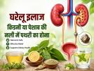 किडनी या पेशाब की नली में फंसी पथरी? ये 8 देसी उपाय दिला सकते हैं राहत - Hindi News | 8 Home Remedies for kidney and urine stone treatment causes signs and symptoms | Latest health Photos at Lokmatnews.in किडनी या पेशाब की नली में फंसी पथरी? ये 8 देसी उपाय दिला सकते हैं राहत - Hindi News | 8 Home Remedies for kidney and urine stone treatment causes signs and symptoms | Latest health Photos at Lokmatnews.in