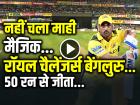 CSK vs RCB Highlights: नहीं चला माही मैजिक, रॉयल चैलेंजर्स बेंगलुरु 50 रन से जीता...