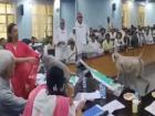 WATCH: डीएम साहिबा कर रही थीं किसानों की मीटिंग, तभी आया लंगूर और उनकी कुर्सी पर कर लिया कब्जा, वीडियो वायरल