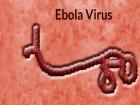 ईबोला वायरस
