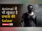 Salaar Review: कैसी है Prabhas की Salaar, क्या है फिल्म की कहानी | Salaar Review: How is Prabhas's Salaar, what is the story of the film | Latest bollywood Videos at Lokmatnews.in