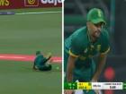 Video: आयरलैंड के खिलाफ दक्षिण अफ्रीका के कोच खिलाड़ियों की जगह खुद फील्डिंग के लिए उतरे, डाइव लगाकर रोकी गेंद
