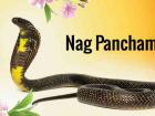 नाग पंचमी