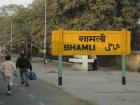 शामली