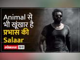 Salaar Review: कैसी है Prabhas की Salaar, क्या है फिल्म की कहानी - Hindi News | Salaar Review: How is Prabhas's Salaar, what is the story of the film | Latest bollywood Videos at Lokmatnews.in