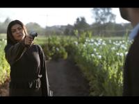 मनोरंजन का है फुल डोज, ये 5 वेबसीरीज आपका करेंगे मूड फ्रेश, टाइम निकालकर देखें सबसे पहले - | web series hindi will help entertain weekend | Latest television Photos at Lokmatnews.in